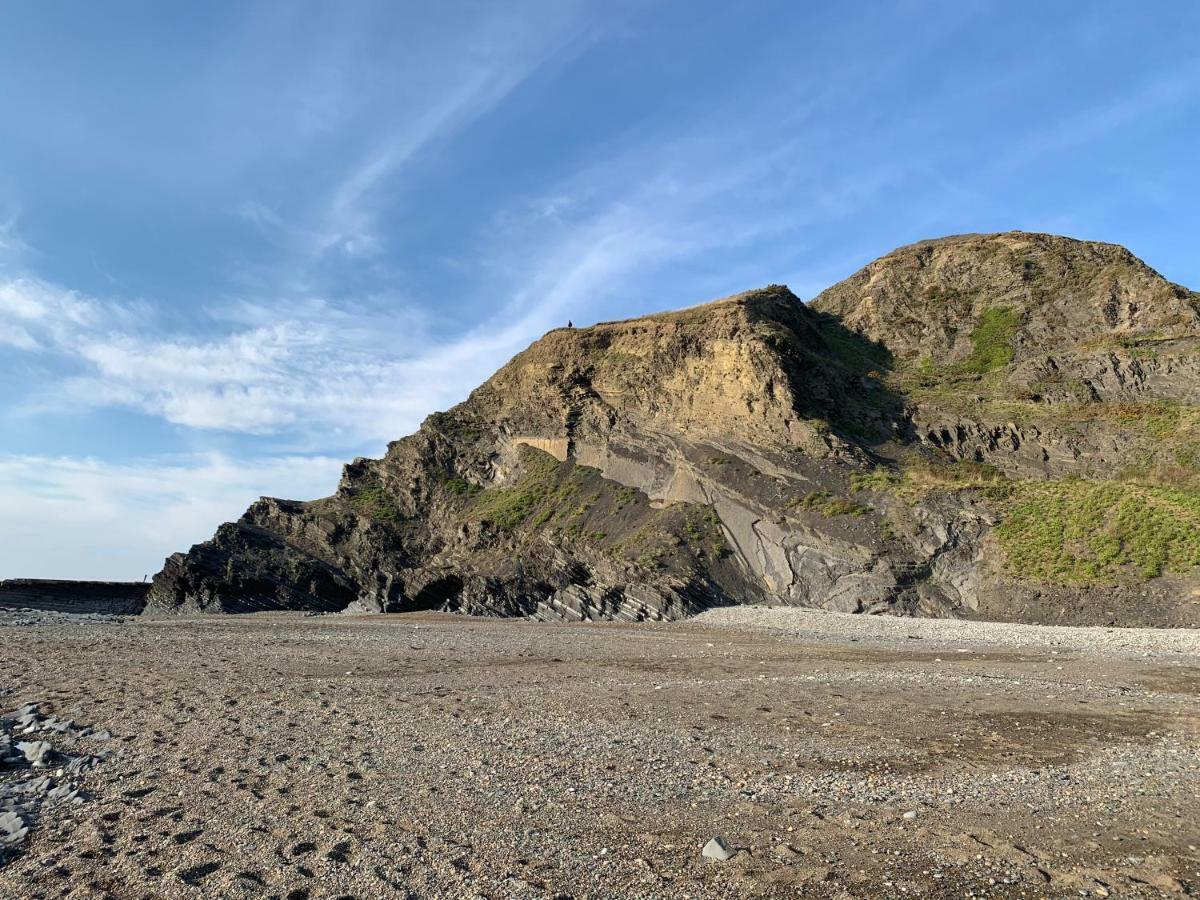 Celtic Bay Guest House Aberystwyth Dış mekan fotoğraf